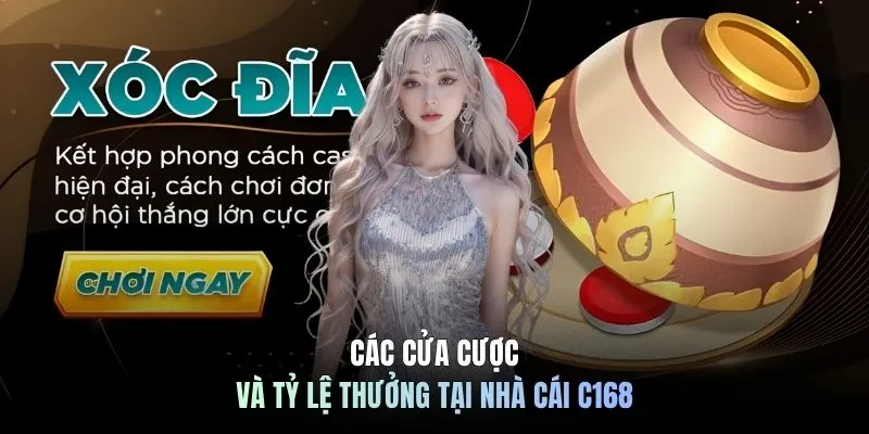 Cách Chơi Xóc Đĩa - Nắm Luật, Bắt Cầu, Ăn Tiền Khủng 5 Các cửa cược và tỷ lệ thưởng tại nhà cái C168