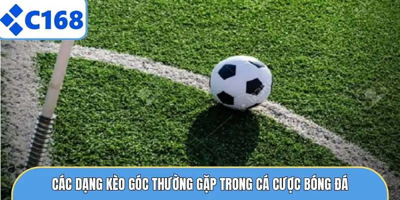 Kèo Phạt Góc - Các Chia Sẻ Tối Ưu Lợi Nhuận Từ Sân Chơi 6 Các dạng kèo góc thường gặp trong cá cược bóng đá