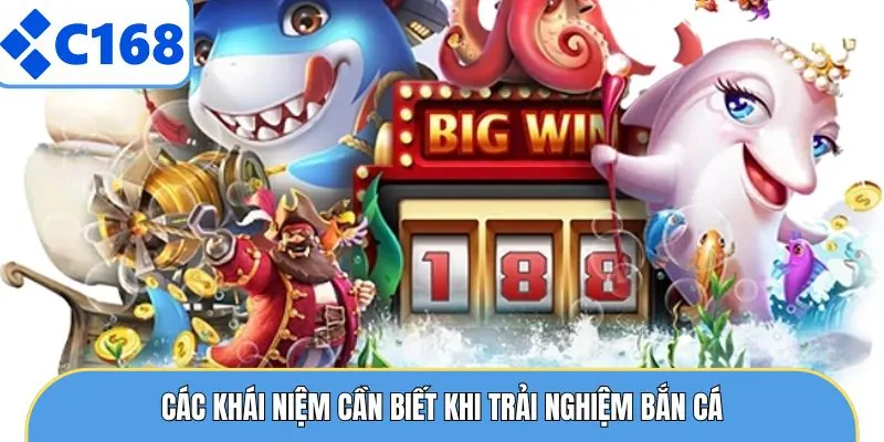 Bắn Cá Long Vương- Chiến thuật Thông Minh Nhận Thưởng Khủng 6 Các khái niệm cần biết khi trải nghiệm bắn cá