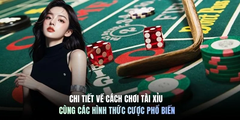 Cập Nhật Cách Chơi Tài Xỉu Mới Nhất Năm 2026 Cùng C168 6 Chi tiết về cách chơi tài xỉu cùng các hình thức cược phổ biến