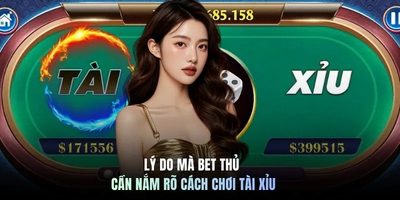 Cập Nhật Cách Chơi Tài Xỉu Mới Nhất Năm 2026 Cùng C168 5 Lý do mà bet thủ cần nắm rõ cách chơi tài xỉu