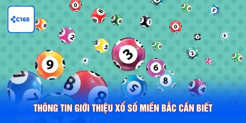 Xổ Số Miền Bắc C168 - Cược Thông Minh, Thưởng Tiền Tỷ Bất Ngờ 5 Thông tin giới thiệu xổ số miền Bắc cần biết